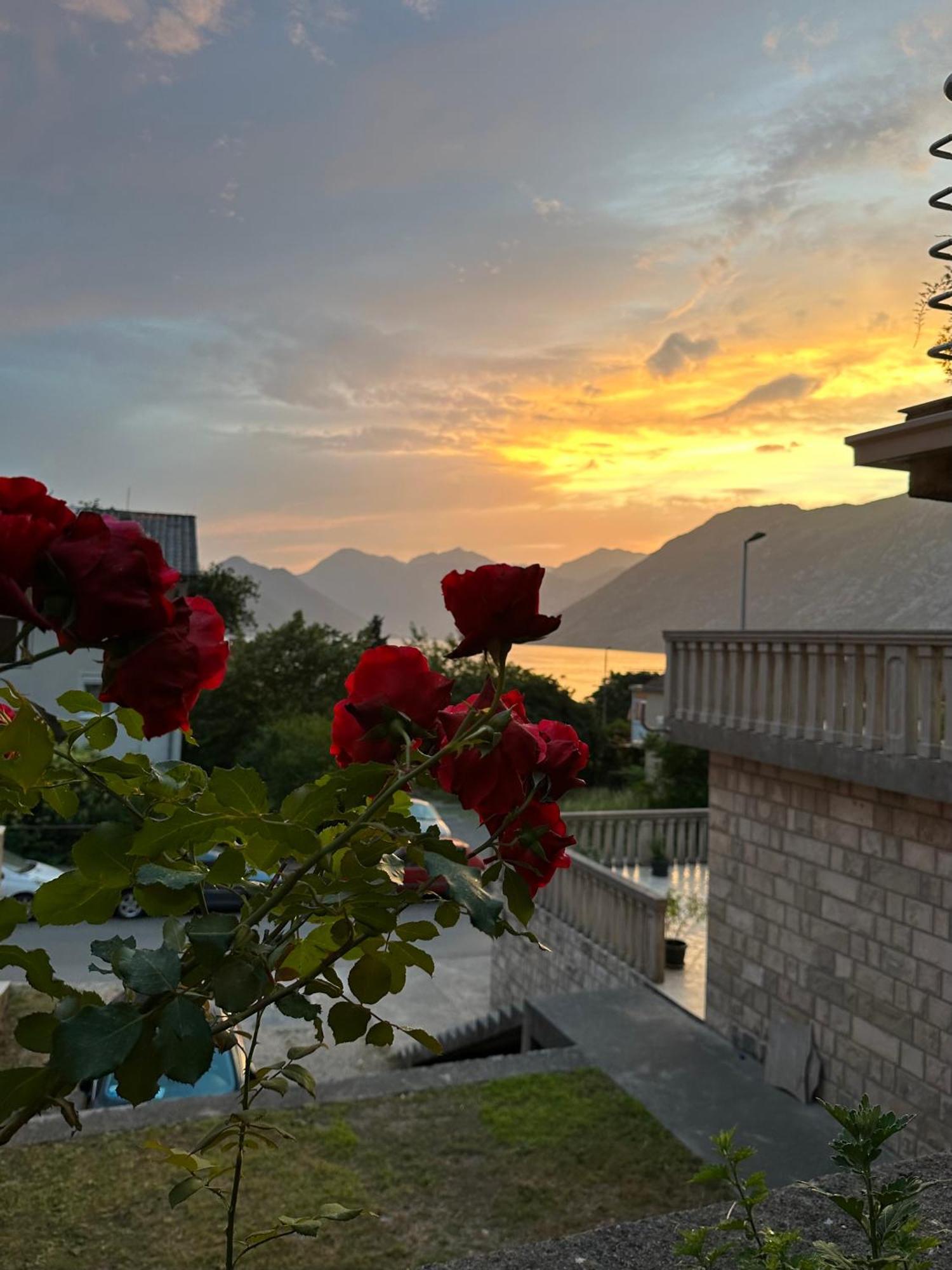 Sunny Apartment Kotor Eksteriør billede