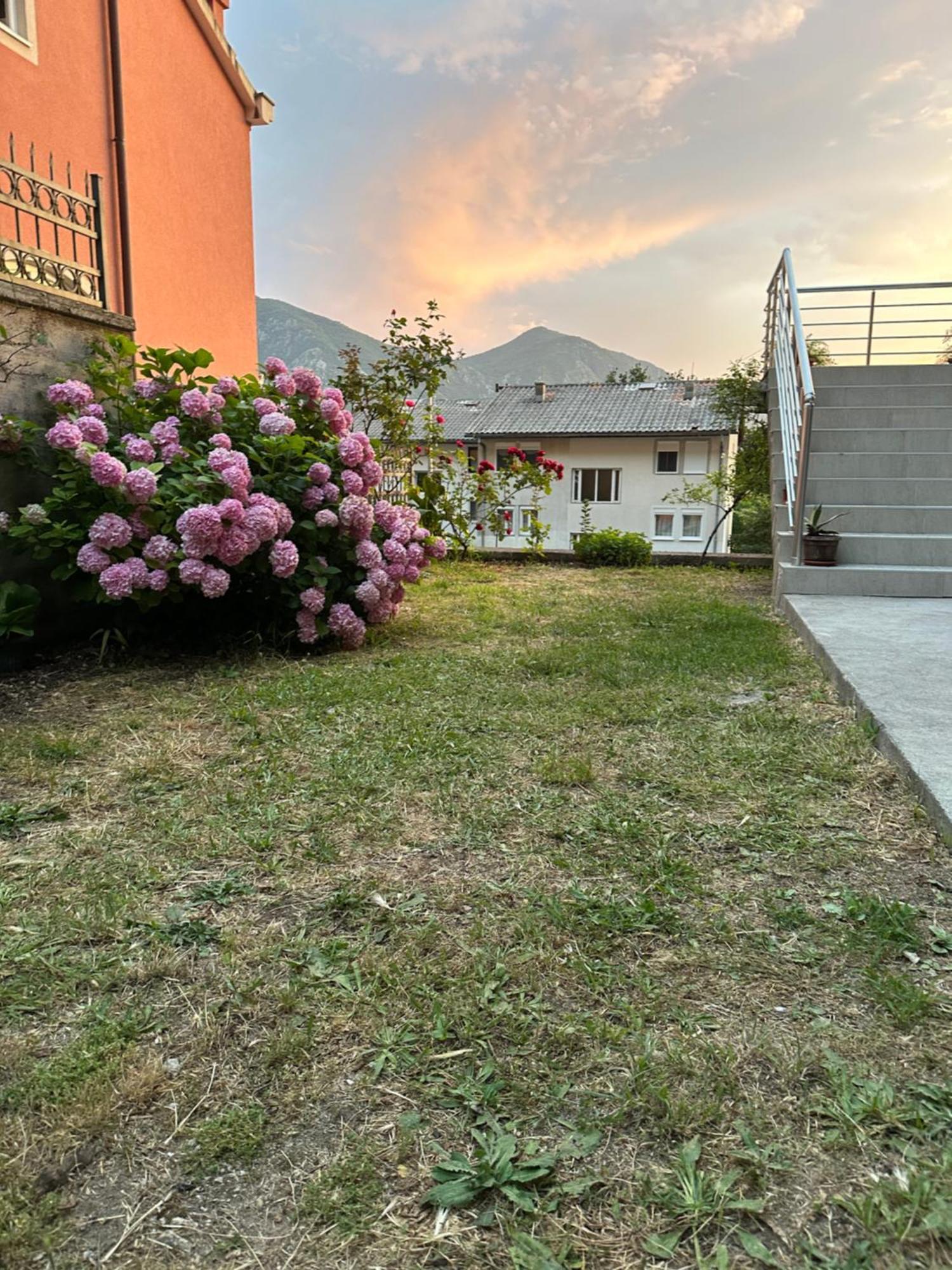 Sunny Apartment Kotor Eksteriør billede